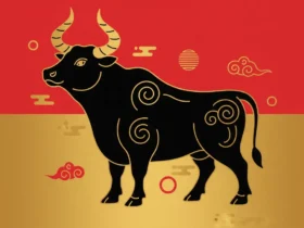 Boi vive um dia de foco e estabilidade nesta quarta (10/12)