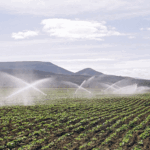 Irrigação ganha destaque como eixo estratégico para produtividade e segurança hídrica