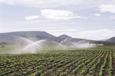 Irrigação ganha destaque como eixo estratégico para produtividade e segurança hídrica