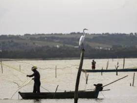 Atraso no seguro-defeso agrava crise e deixa pescadores de Mato Grosso sem renda durante a piracema
