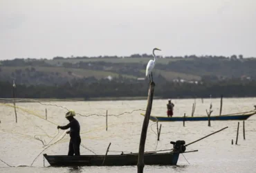 Atraso no seguro-defeso agrava crise e deixa pescadores de Mato Grosso sem renda durante a piracema