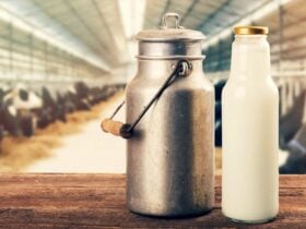 Preço do leite ao produtor registra sétima queda mensal consecutiva e acumula desvalorização de 14,1% em 2025