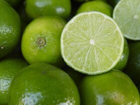 Tahiti inicia dezembro com reação de preços