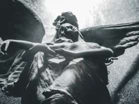 Mensagem do Anjo da Guarda para hoje