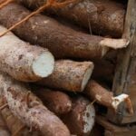 Queda semanal do preço da mandioca é a maior desde julho