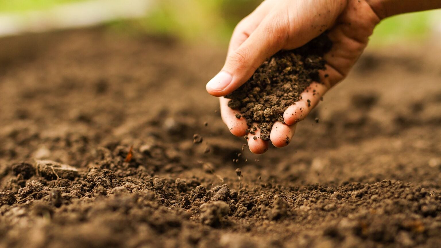 Estratégias de manejo melhoram qualidade do solo e aumentam renda do produtor