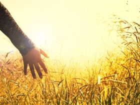 Sexta à noite traz alívio emocional, silêncio restaurador e paz interior para alguns signos