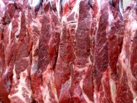 Oferta restrita mantém preços da carne bovina firmes no início de dezembro, aponta Cepea