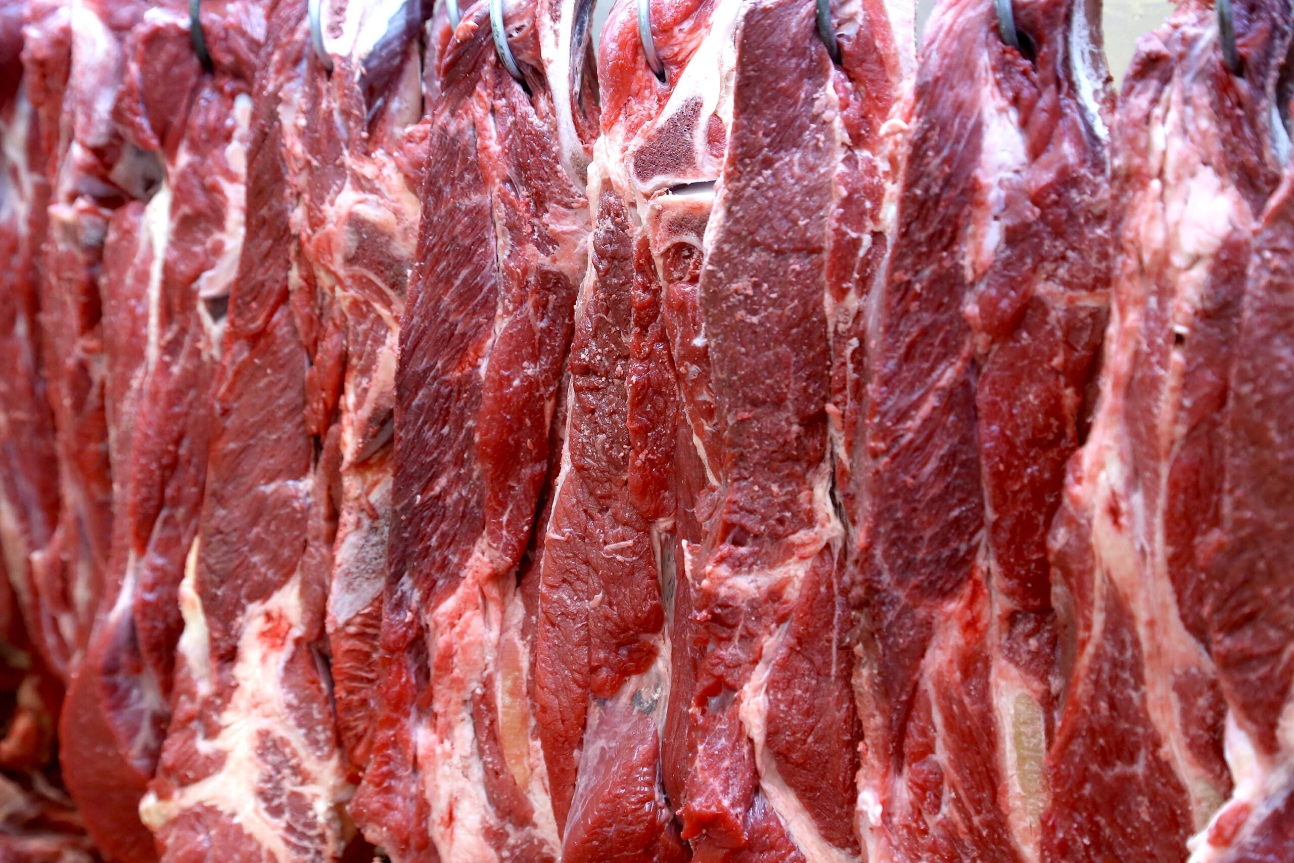 Oferta restrita mantém preços da carne bovina firmes no início de dezembro, aponta Cepea