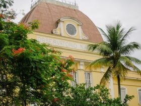 Acervo do ex-ministro do MCTI José Israel Vargas será preservado pelo Mast