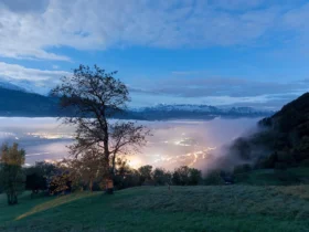 Terça-feira traz mais foco e organização para determinados signos