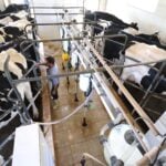 Paraná regulamenta lei que proíbe reconstituição de leite em pó importado