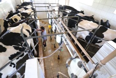 Paraná regulamenta lei que proíbe reconstituição de leite em pó importado