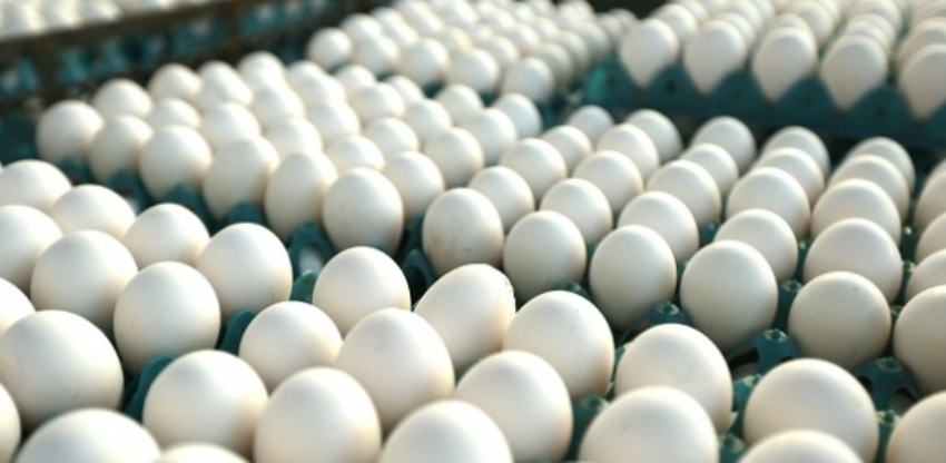 Brasil fecha ano com crescimento em produção, consumo e exportações de carne de frango, carne suína e ovos, aponta a ABPA