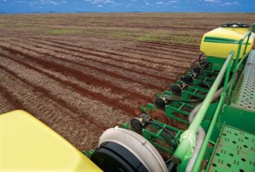 Semeadura do algodão em Mato Grosso avança de forma pontual no início da safra 2025/2026