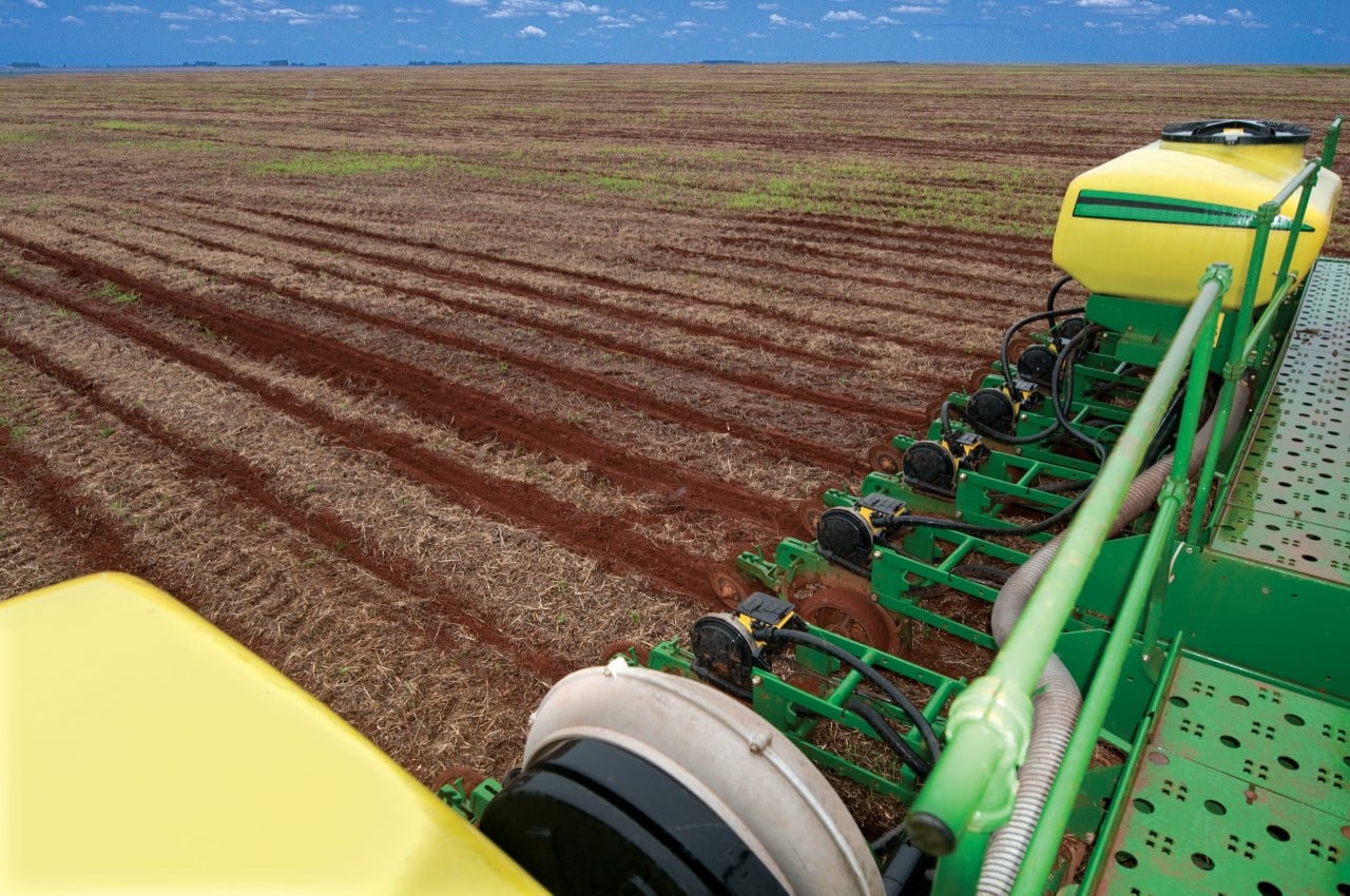 Semeadura do algodão em Mato Grosso avança de forma pontual no início da safra 2025/2026