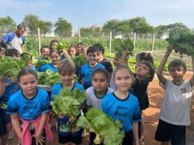Horta Escolar da Escola Municipal Prof. Marcelino E. Dutra enriquece aprendizado dos alunos