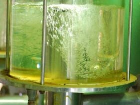 Etanol hidratado sobe em Mato Grosso e atinge maior valor desde 2022, com usinas firmes na reta final da safra