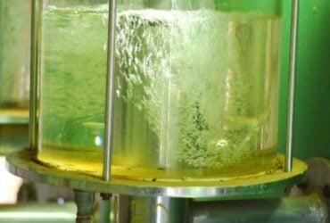 Etanol hidratado sobe em Mato Grosso e atinge maior valor desde 2022, com usinas firmes na reta final da safra