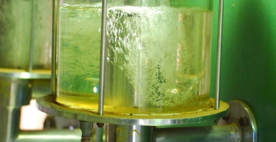 Etanol hidratado sobe em Mato Grosso e atinge maior valor desde 2022, com usinas firmes na reta final da safra