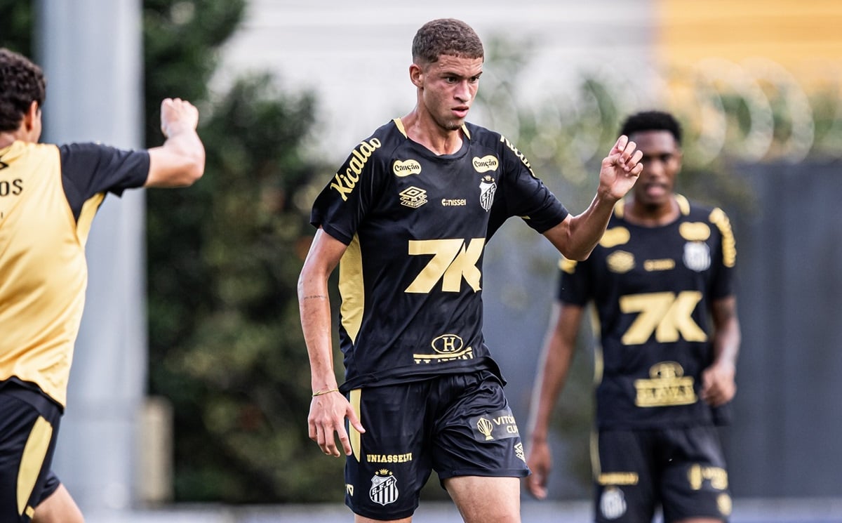 Santos x Cruzeiro: onde assistir, escalações e tudo sobre o duelo que decide o futuro do Peixe no Brasileirão. Imagem: Raul Baretta/Santos FC