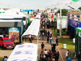 Show Safra Negócios ganha protagonismo e consolida papel como polo de oportunidades no Show Safra MT 2026