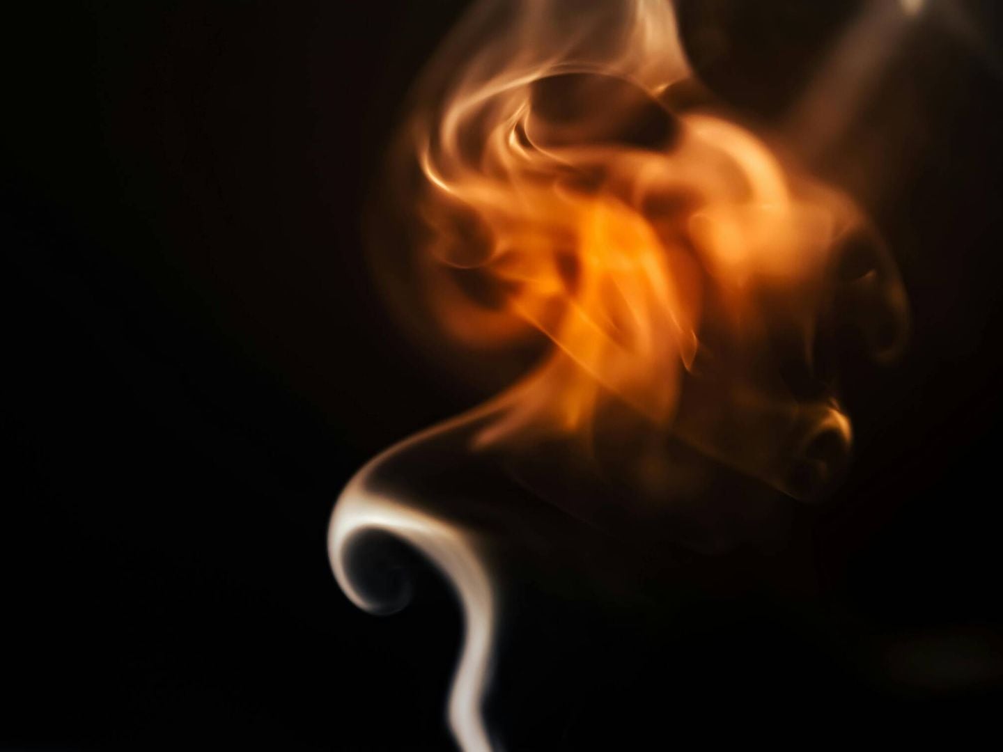 A ENERGIA DOS SINAIS DE FOGO SERÁ INTENSA, EMBORA ELES DEVAM EVITAR IMPOR SUA VONTADE SOBRE OS OUTROS (PEXELS)