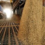 Esmagamento de soja cresce em novembro e setor projeta desempenho recorde em Mato Grosso