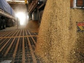 Esmagamento de soja cresce em novembro e setor projeta desempenho recorde em Mato Grosso