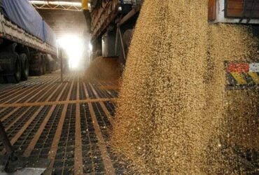 Esmagamento de soja cresce em novembro e setor projeta desempenho recorde em Mato Grosso