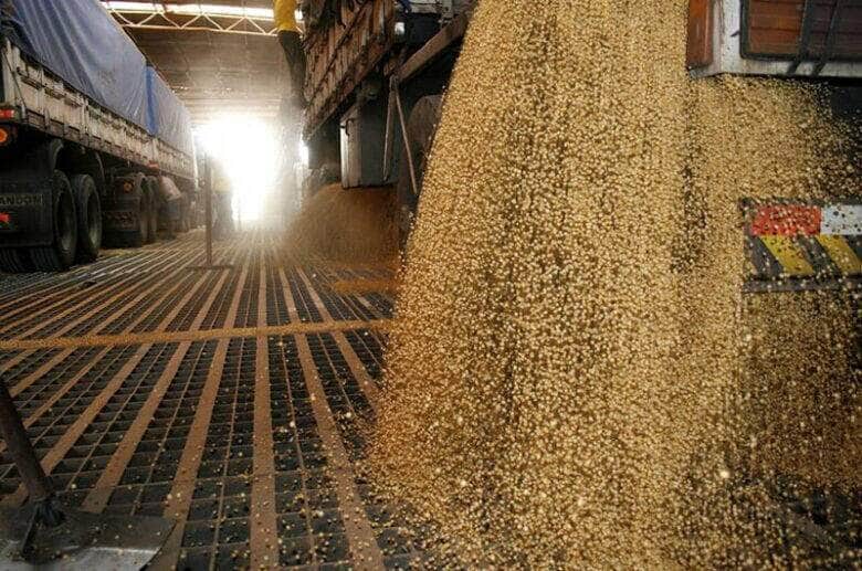 Esmagamento de soja cresce em novembro e setor projeta desempenho recorde em Mato Grosso