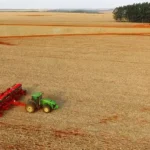 Crédito agrícola encarece e sistema financeiro amplia participação no custeio da soja em MT