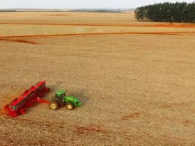 Crédito agrícola encarece e sistema financeiro amplia participação no custeio da soja em MT