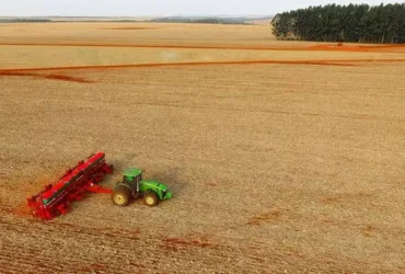 Crédito agrícola encarece e sistema financeiro amplia participação no custeio da soja em MT