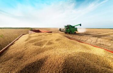 Área plantada com soja em Rondônia deve ultrapassar os 700 mil hectares na safra 2025/2026