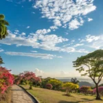 Colniza: calor de 34°C marca o sábado