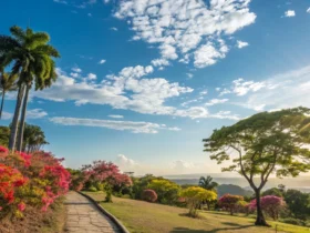 Colniza: calor de 34°C marca o sábado