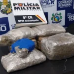 Homem é preso com 10 kg de supermaconha em Barra do Garças