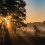 Ilustração editorial de uma tarde misteriosa que cita o horóscopo de amanhã para os signos do zodíaco, sob luz suave, representando as previsões astrológicas do dia seguinte.