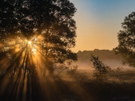 Ilustração editorial de uma tarde misteriosa que cita o horóscopo de amanhã para os signos do zodíaco, sob luz suave, representando as previsões astrológicas do dia seguinte.