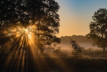 Ilustração editorial de uma tarde misteriosa que cita o horóscopo de amanhã para os signos do zodíaco, sob luz suave, representando as previsões astrológicas do dia seguinte.