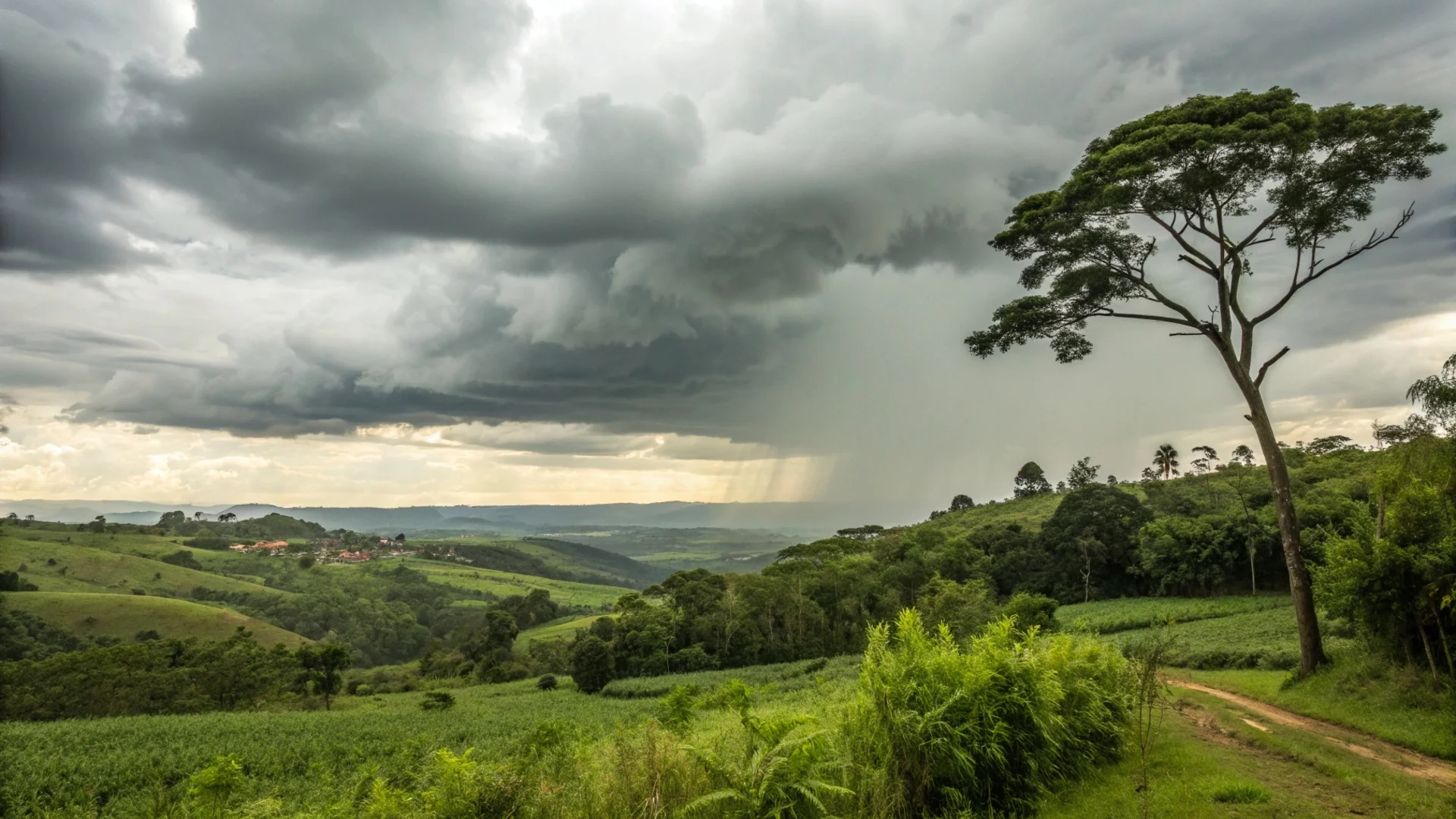 Previsão do tempo em Querência