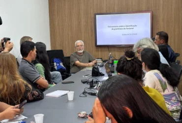Workshop em Cuiabá treina técnicos na identificação de gramíneas do Pantanal