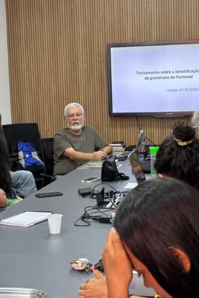 Workshop em Cuiabá treina técnicos na identificação de gramíneas do Pantanal
