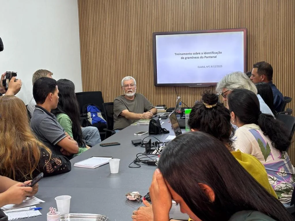 Workshop em Cuiabá treina técnicos na identificação de gramíneas do Pantanal