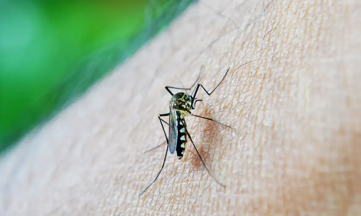 São Paulo registra primeira morte por dengue em 2026