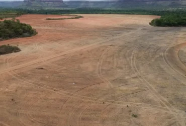Indústrias de soja deixam acordo ambiental após mudança legal em MT