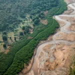 Amazônia recebe 16 projetos em edital de restauração florestal