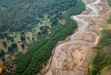 Amazônia recebe 16 projetos em edital de restauração florestal