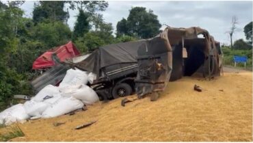 Acidente ocorreu na tarde desta quarta-feira (14); impacto lateral deixou vítima presa às ferragens e trecho da rodovia segue parcialmente interditado